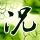 特搜战队刑事连者
